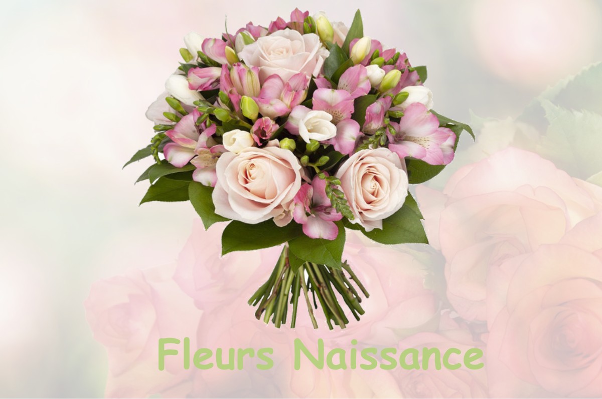 fleurs naissance FRETOY-LE-CHATEAU